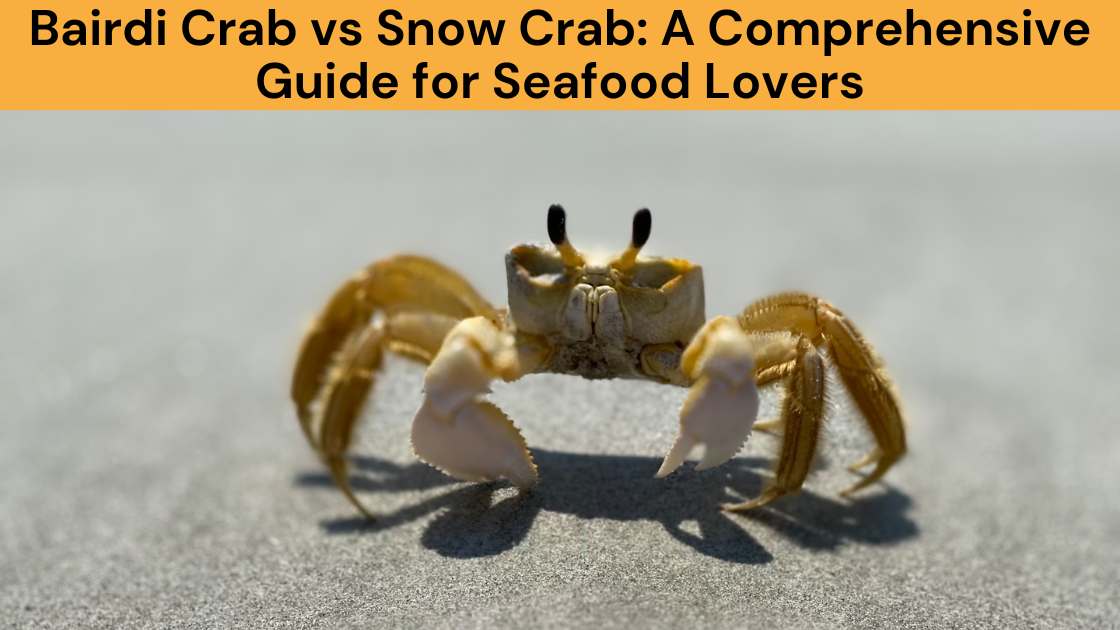 Bairdi Crab vs Snow Crab: A Comprehensive Guide for Seafood Lovers