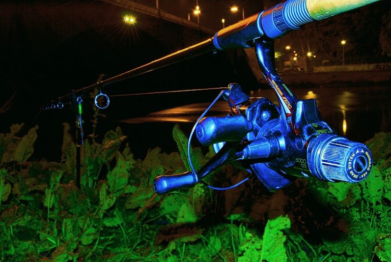 Difference Between Baitrunner and Spinning Reel Featured Image