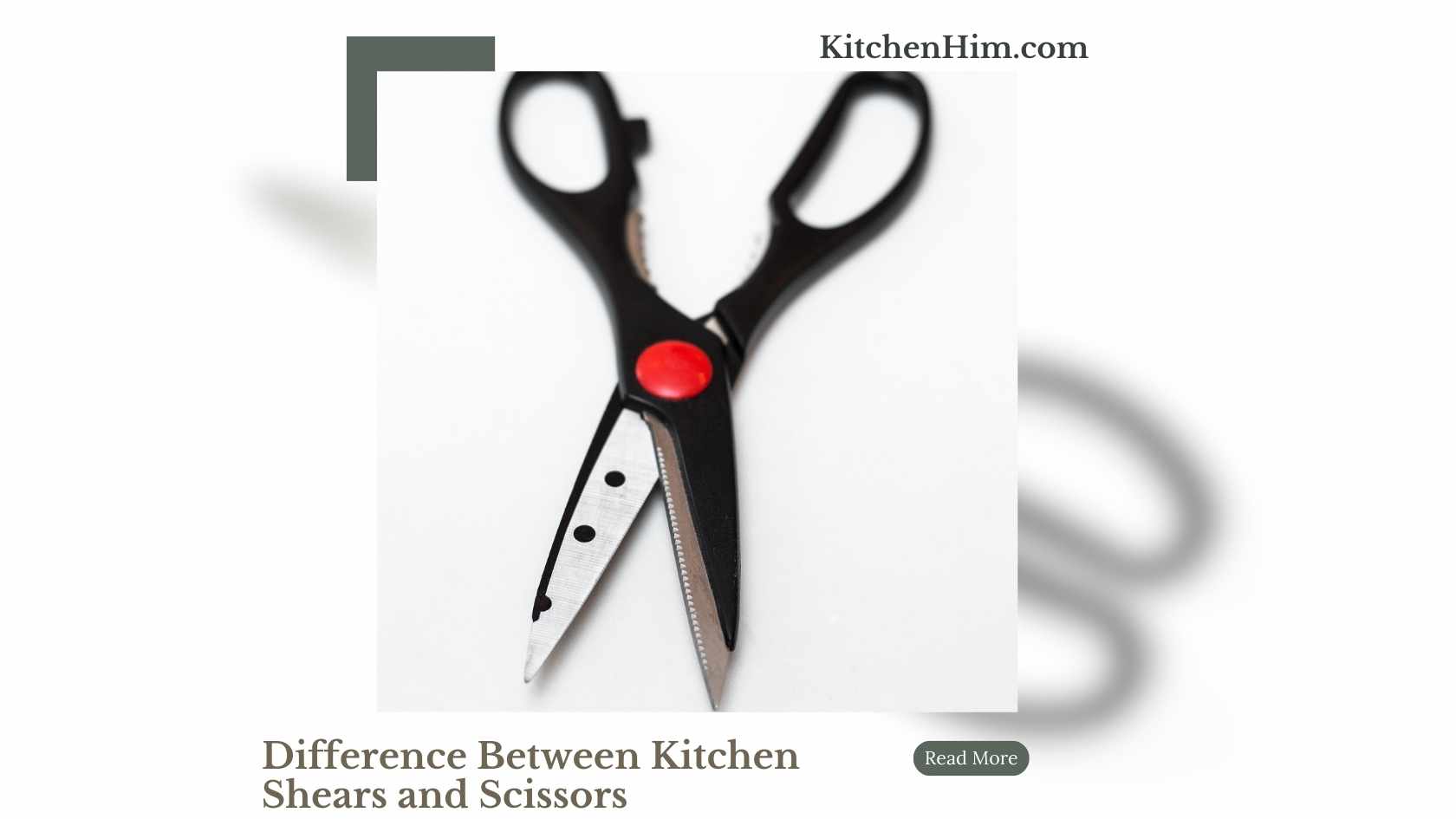 Difference Between Kitchen Shears and Scissors Kitchen Him