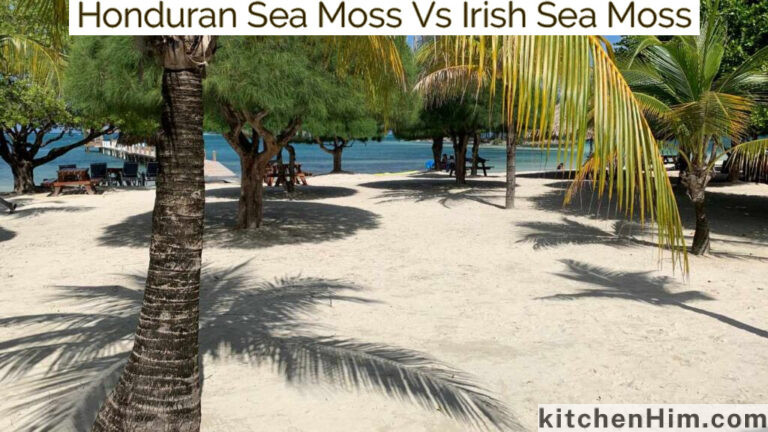 Honduran Sea Moss Vs Irish Sea Moss