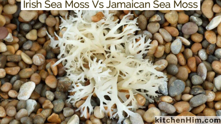 Irish Sea Moss Vs Jamaican Sea Moss