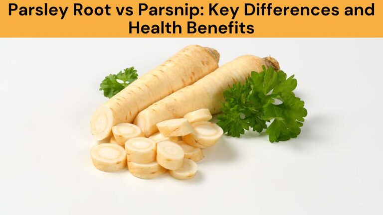 Parsley Root vs Parsnip Key Differences and Health Benefits